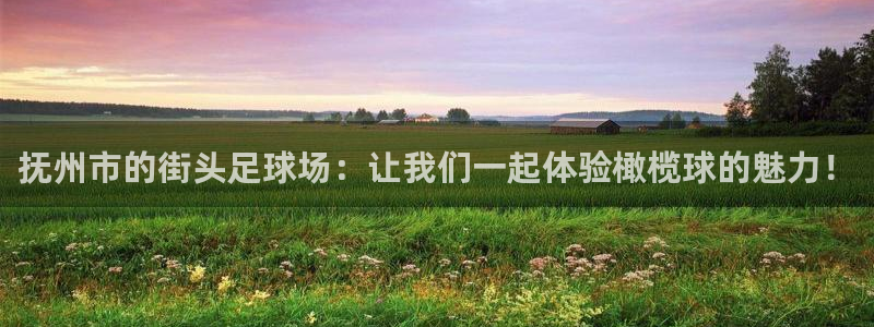 速8体育网