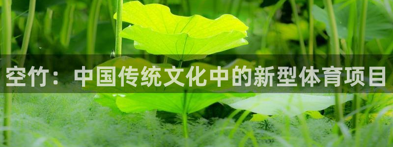 速8体育网