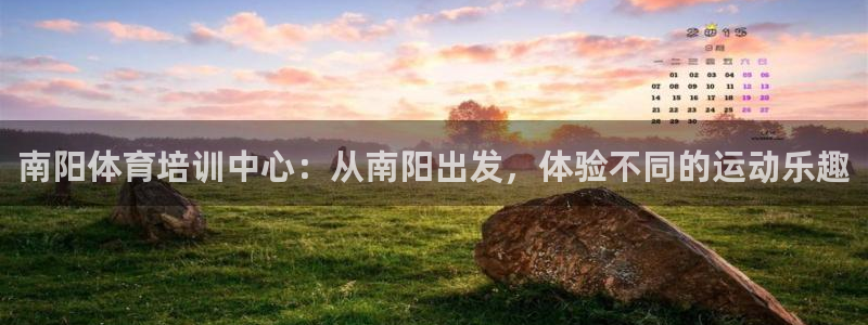 速8体育网