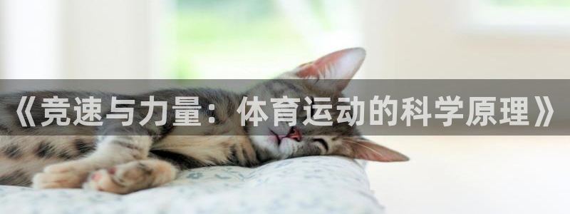 关键词：《竞速与力量：体育运动的科学原理》