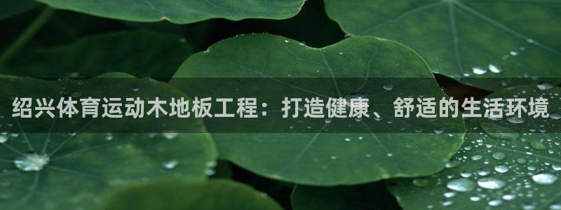 速8体育网