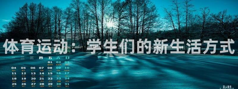 速8体育网