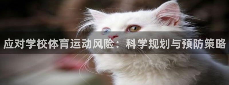 关键词