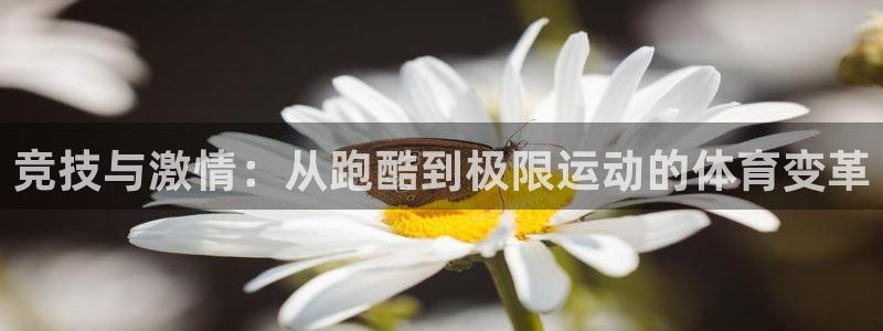 关键词