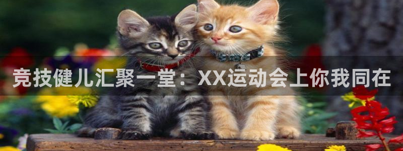 速8体育网：竞技健儿汇聚一堂：XX运动会上你我同在
