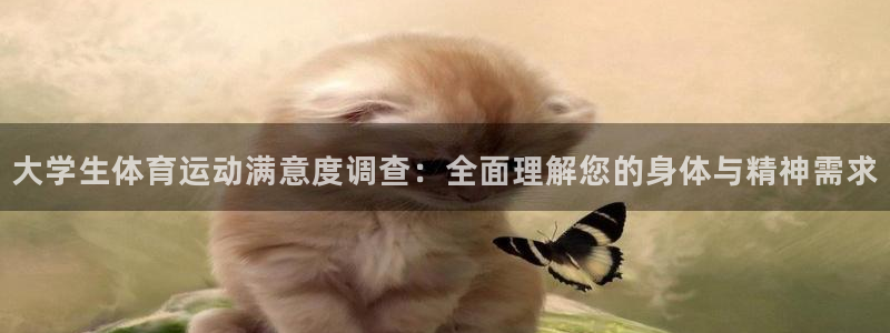 速8体育网：大学生体育运动满意度调查：全面理解您的身体与精神需求