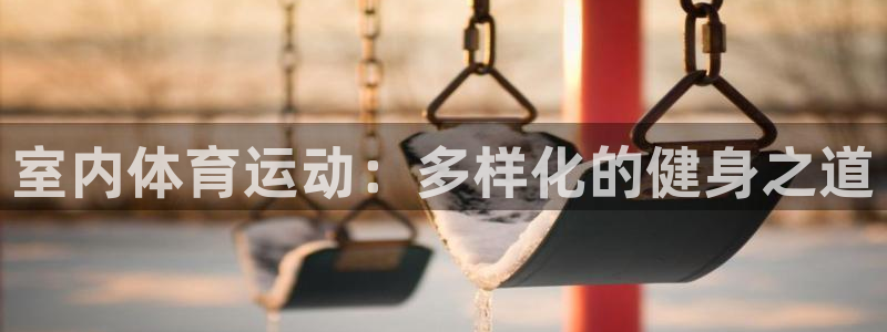 关键词：室内体育运动：多样化的健身之道