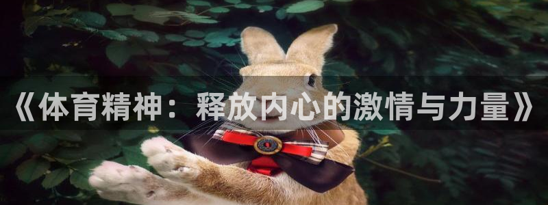 速8体育网