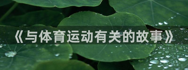 速8体育网