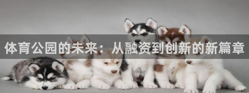 速8体育网