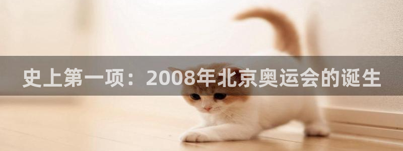 速8体育网