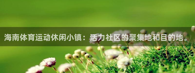 速8体育网