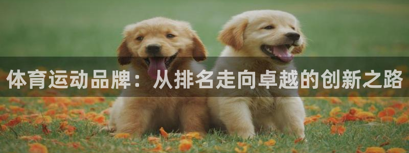 速8体育网