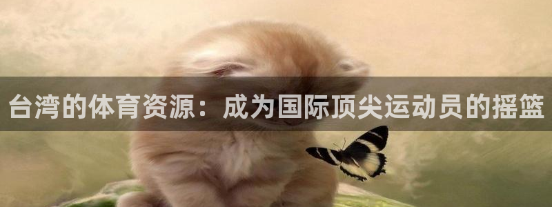 速8体育网：台湾的体育资源：成为国际顶尖运动员的摇篮